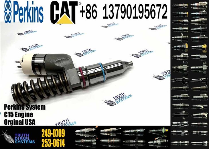 Caterpillar Injector C15 Common Rail Diesel Fuel Injector 249-0709 2490709 For Caterpillar CAT C15 C18 Engine Original New Injector best