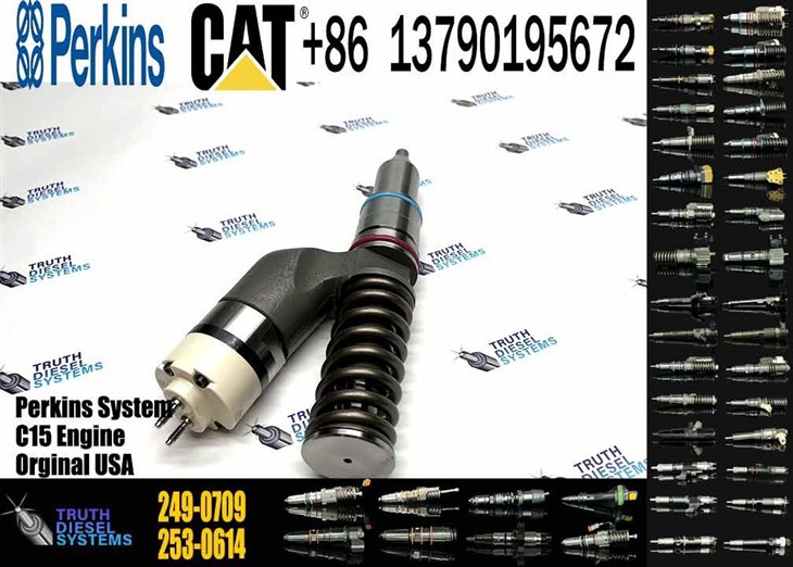 Caterpillar Injector C15 Common Rail Diesel Fuel Injector 249-0709 2490709 For Caterpillar CAT C15 C18 Engine Original New Injector price