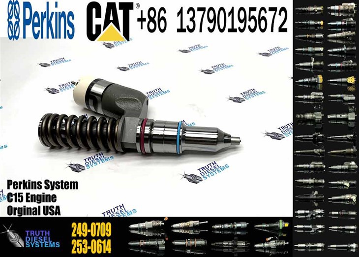 Caterpillar Injector C15 Common Rail Diesel Fuel Injector 249-0709 2490709 For Caterpillar CAT C15 C18 Engine Original New Injector