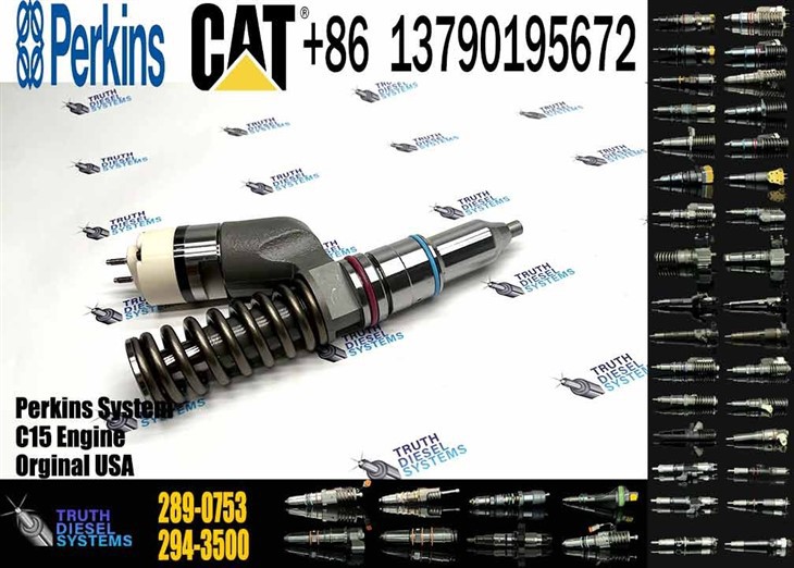 Caterpillar Injector C15 Diesel Fuel Pump Common Rail Fuel Injector 289-0753 2890753 in Stock Original New Injector high quality