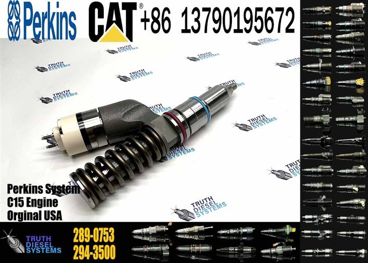 Caterpillar Injector C15 Diesel Fuel Pump Common Rail Fuel Injector 289-0753 2890753 in Stock Original New Injector price