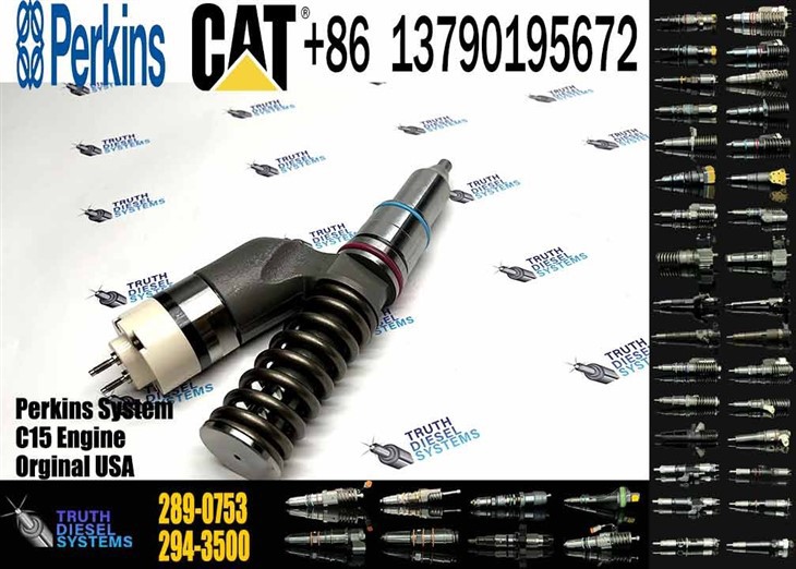 Caterpillar Injector C15 Diesel Fuel Pump Common Rail Fuel Injector 289-0753 2890753 in Stock Original New Injector best