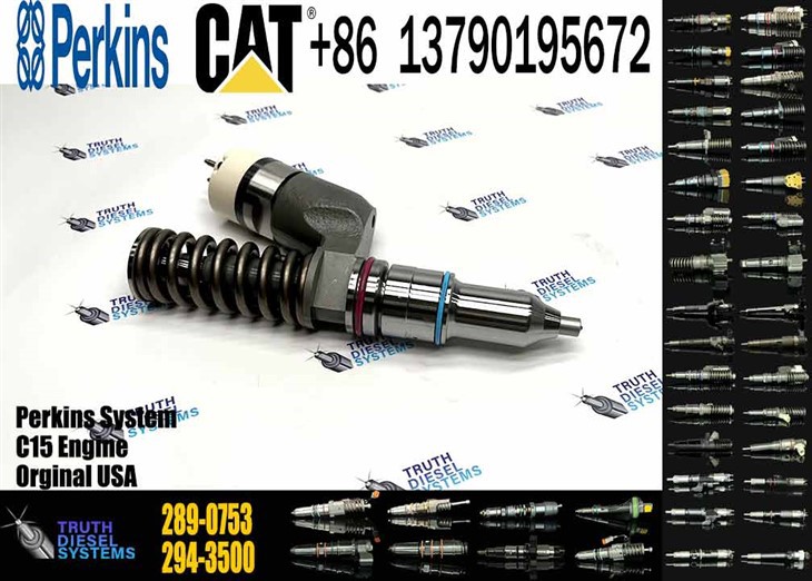 Caterpillar Injector C15 Diesel Fuel Pump Common Rail Fuel Injector 289-0753 2890753 in Stock Original New Injector