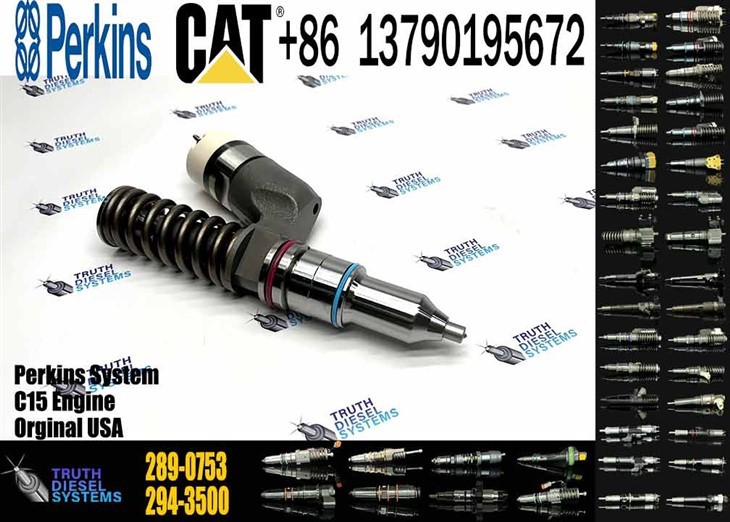 Caterpillar Injector C15 Diesel Fuel Pump Common Rail Fuel Injector 289-0753 2890753 in Stock Original New Injector suppliers