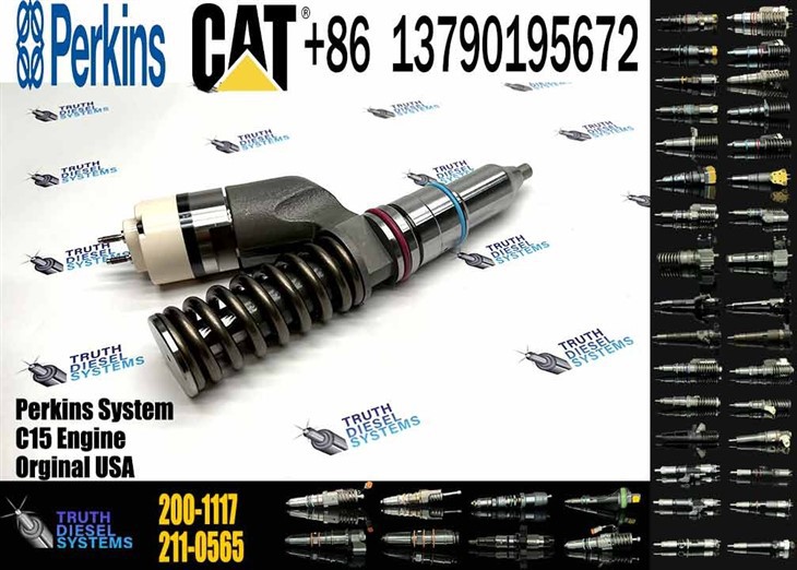 Caterpillar Injector C15 Excavator Accessories For C15 Fuel Injector 191-3003 1913003 200-1117 2001117 For Construction Machinery Original New Injector suppliers