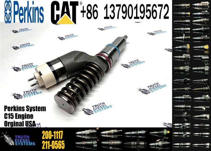Caterpillar Injector C15 Excavator Accessories For C15 Fuel Injector 191-3003 1913003 200-1117 2001117 For Construction Machinery Original New Injector factory