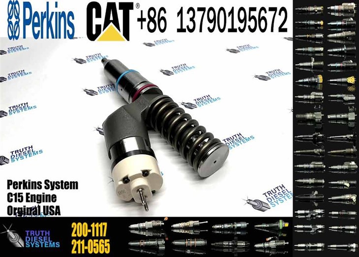 Caterpillar Injector C15 Excavator Accessories For C15 Fuel Injector 191-3003 1913003 200-1117 2001117 For Construction Machinery Original New Injector factory