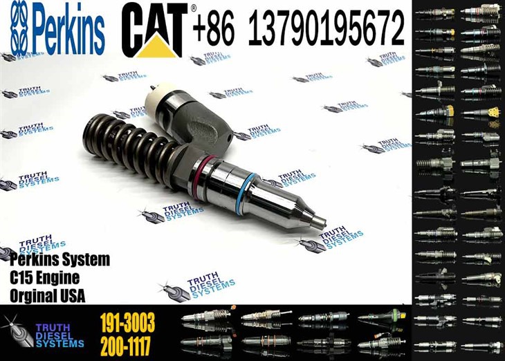 Caterpillar Injector C15 Fuel Injector 191-3003 0R-9257 1913003 0R9257 For 3406E Engine Original New Injector
