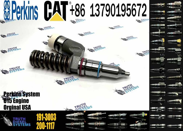 Caterpillar Injector C15 Fuel Injector 191-3003 0R-9257 1913003 0R9257 For 3406E Engine Original New Injector high quality