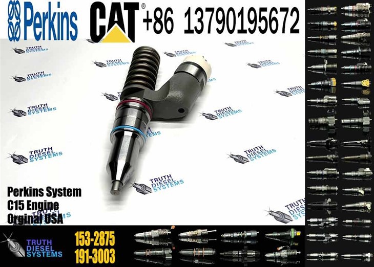 Caterpillar Injector C15 New 153-2875 1532875 Common Rail Fuel Injector For C15 Engine Excavator E365C E374D D8R D9R Diesel Parts Original New Injector factory