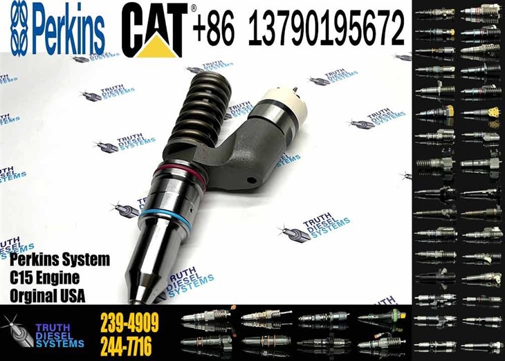 Caterpillar Injector C15 New 239-4909 2394909 Common Rail Fuel Injector For C15 Engine Excavator E365C E374D D8R D9R Diesel Parts Original New Injector price