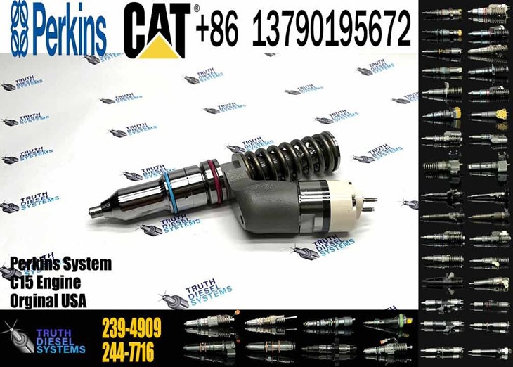 Caterpillar Injector C15 New 239-4909 2394909 Common Rail Fuel Injector For C15 Engine Excavator E365C E374D D8R D9R Diesel Parts Original New Injector suppliers