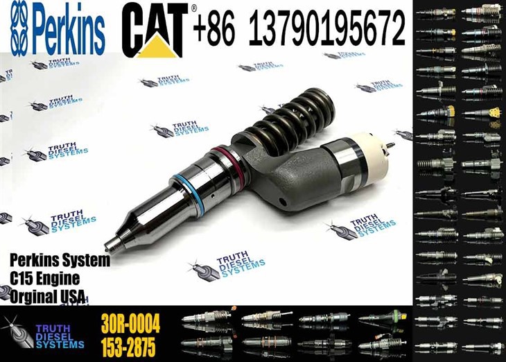 Caterpillar Injector C15 New 374-0751 3740751 30R-0004 30R0004 Common Rail Fuel Injector For C27 Engine Excavator 773G 775G Diesel Parts Original New Injector high quality