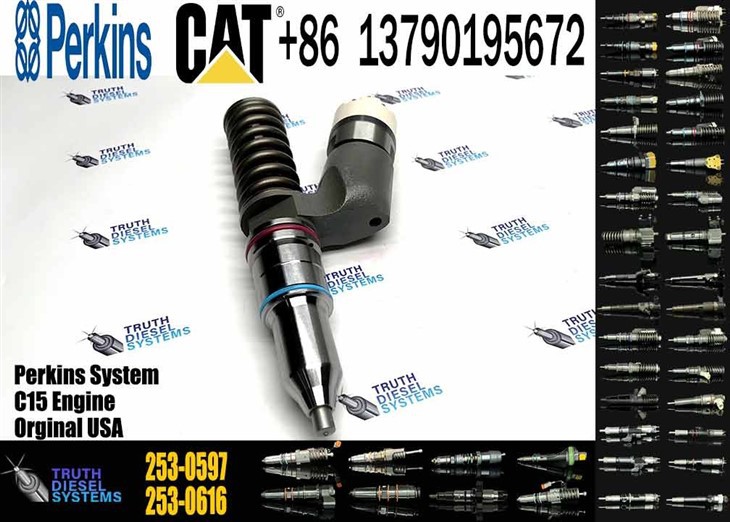 Caterpillar Injector C18 276-8307 10R-7231 253-0597 Diesel Engine Replacement New Remanufactured Injector For Caterpillar Generator SR4 Engine Original New Injector factory