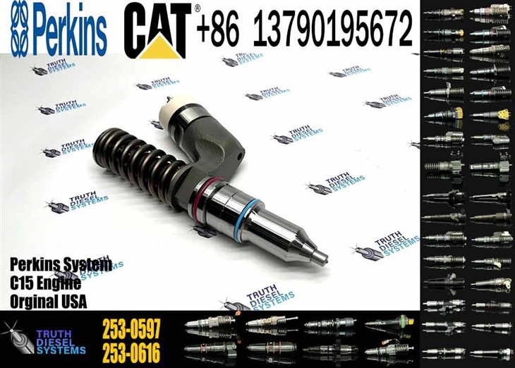 Caterpillar Injector C18 276-8307 10R-7231 253-0597 Diesel Engine Replacement New Remanufactured Injector For Caterpillar Generator SR4 Engine Original New Injector price