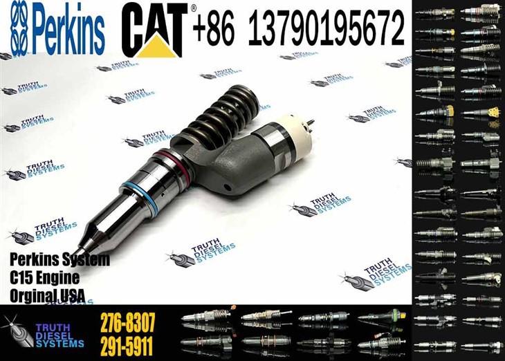 Caterpillar Injector C18 Engine Common Rail Fuel Injector 276-8307 253-0616 253-0618 295-9085 276-8307 374-0750 272-0630 356-1367 10R-1273 Original New Injector best