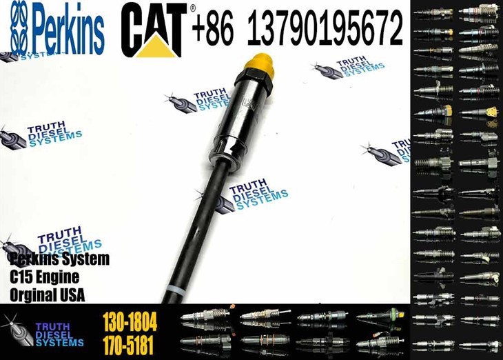 Caterpillar Injector Nozzle Fuel Injector 0R-9943 9Y-3070 0R-3421 130-1804 7W-7031 7W-7026 170-5183 170-5187 129-1351 Original New Injector high quality