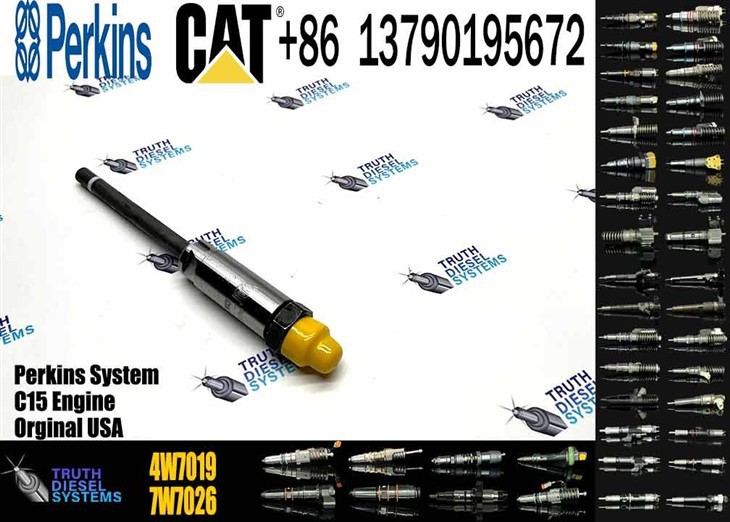Caterpillar Injector Nozzle High Quality New Diesel Engine Fuel System Parts Diesel Fuel Injector 4W7019 4W-7019 For CAT Original New Injector high quality