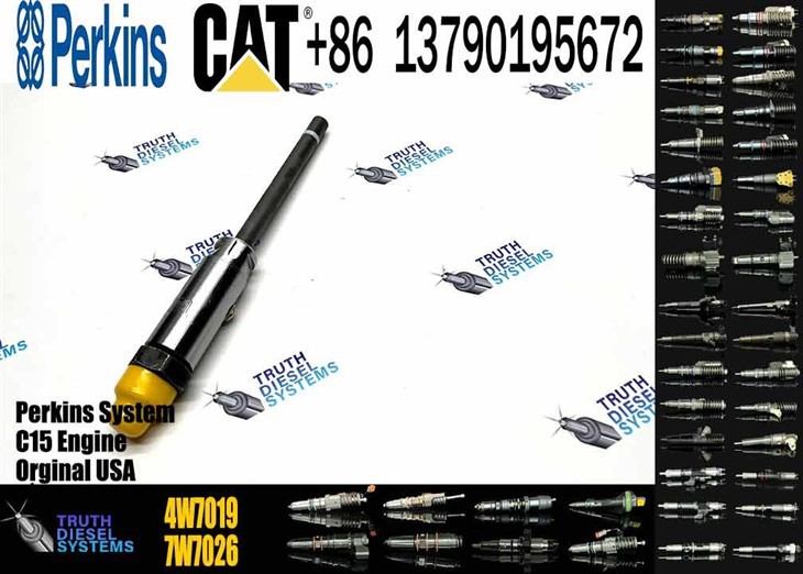 Caterpillar Injector Nozzle High Quality New Diesel Engine Fuel System Parts Diesel Fuel Injector 4W7019 4W-7019 For CAT Original New Injector suppliers