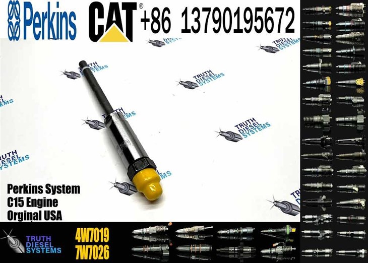Caterpillar Injector Nozzle High Quality New Diesel Engine Fuel System Parts Diesel Fuel Injector 4W7019 4W-7019 For CAT Original New Injector best