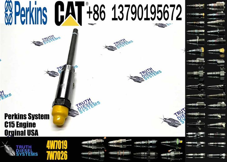 Caterpillar Injector Nozzle High Quality New Diesel Engine Fuel System Parts Diesel Fuel Injector 4W7019 4W-7019 For CAT Original New Injector