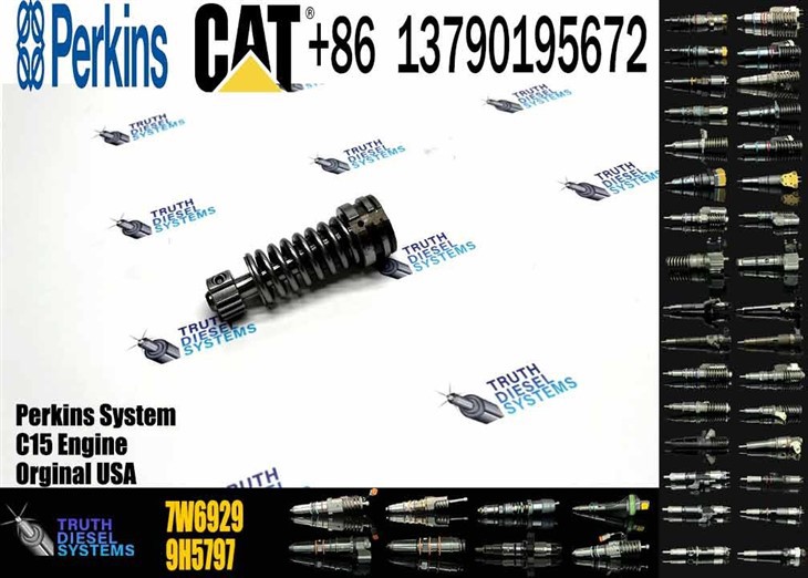 Caterpillar Injector Plunger Diesel Pump Plunger Plunger & Barrel 7W6929 7W-6929 Original New Injector best