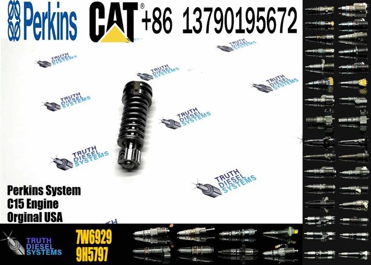 Caterpillar Injector Plunger Diesel Pump Plunger Plunger & Barrel 7W6929 7W-6929 Original New Injector price