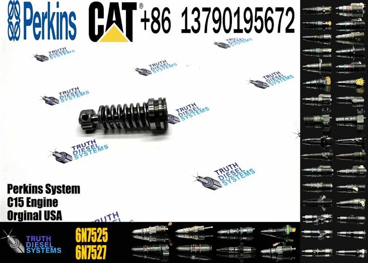Caterpillar Injector Plunger Excavator Engine 3306 Fuel Injection Pump Plunger 4P9830 7W6929 1W6541 1P6400 6N7525 6N7527 1086633 Original New Injector price