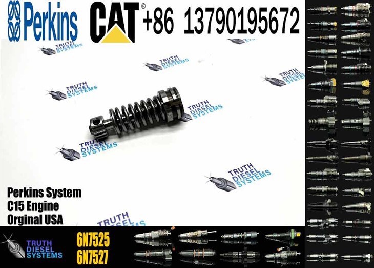 Caterpillar Injector Plunger Excavator Engine 3306 Fuel Injection Pump Plunger 4P9830 7W6929 1W6541 1P6400 6N7525 6N7527 1086633 Original New Injector best