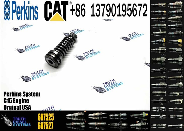 Caterpillar Injector Plunger Excavator Engine 3306 Fuel Injection Pump Plunger 4P9830 7W6929 1W6541 1P6400 6N7525 6N7527 1086633 Original New Injector factory