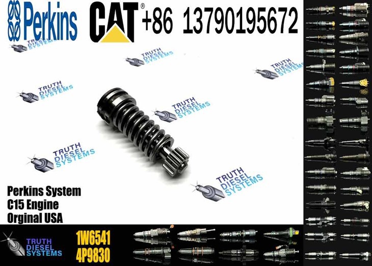 Caterpillar Injector Plunger Fuel Injection Pump Plunger 1W6541 1W-6541 Original New Injector best