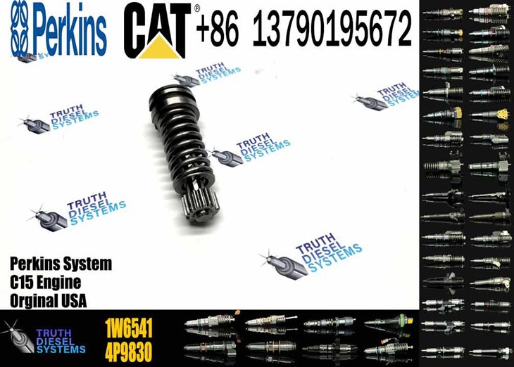 Caterpillar Injector Plunger Fuel Injection Pump Plunger 1W6541 1W-6541 Original New Injector