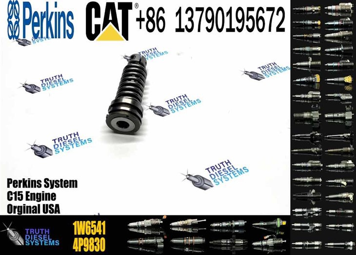 Caterpillar Injector Plunger Fuel Injection Pump Plunger 1W6541 1W-6541 Original New Injector factory
