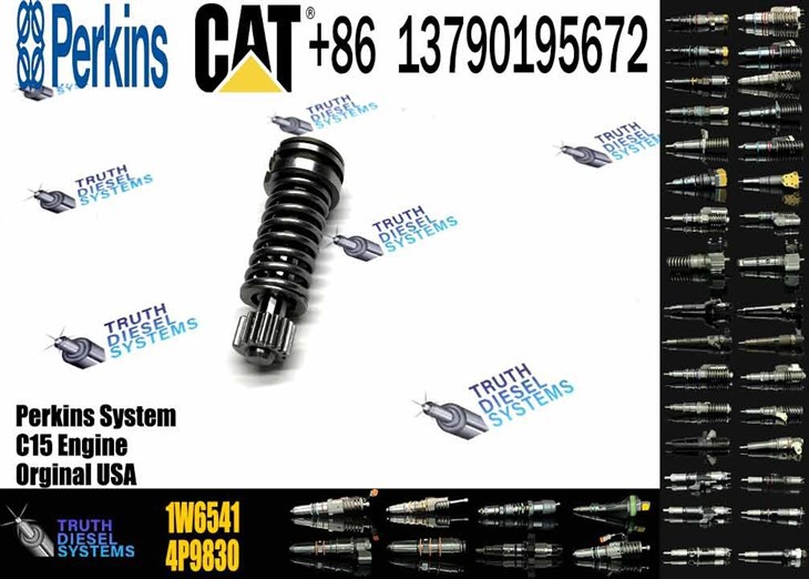 Caterpillar Injector Plunger Fuel Injection Pump Plunger 1W6541 1W-6541 Original New Injector suppliers