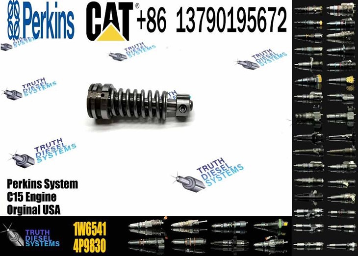 Caterpillar Injector Plunger Fuel Injection Pump Plunger 1W6541 1W-6541 Original New Injector high quality