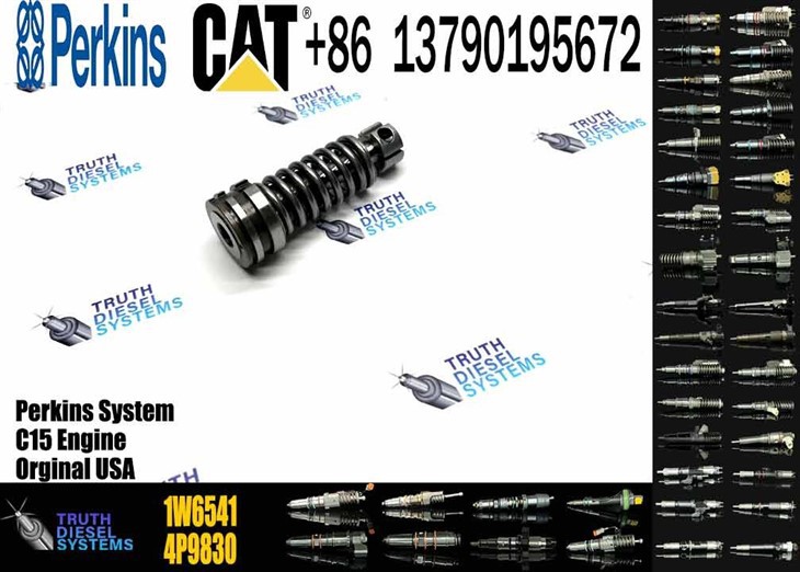 Caterpillar Injector Plunger Fuel Injection Pump Plunger 1W6541 1W-6541 Original New Injector price