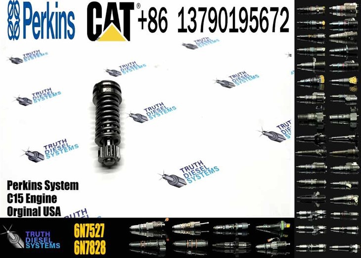 Caterpillar Injector Plunger High Quality New Stainless Steel Pump Plunger 1W6541 4P9830 9H5797 6N7527 Plunger Barrel 7W5929 Element For 3304 3306 Original New Injector best