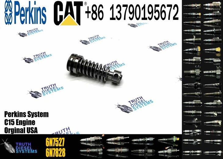 Caterpillar Injector Plunger High Quality New Stainless Steel Pump Plunger 1W6541 4P9830 9H5797 6N7527 Plunger Barrel 7W5929 Element For 3304 3306 Original New Injector price