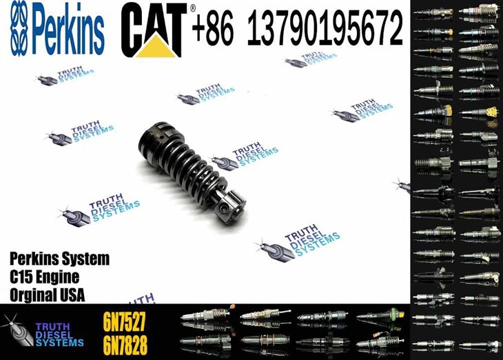 Caterpillar Injector Plunger High Quality New Stainless Steel Pump Plunger 1W6541 4P9830 9H5797 6N7527 Plunger Barrel 7W5929 Element For 3304 3306 Original New Injector high quality