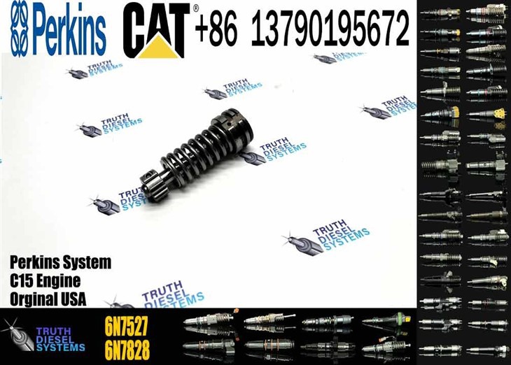 Caterpillar Injector Plunger High Quality New Stainless Steel Pump Plunger 1W6541 4P9830 9H5797 6N7527 Plunger Barrel 7W5929 Element For 3304 3306 Original New Injector suppliers