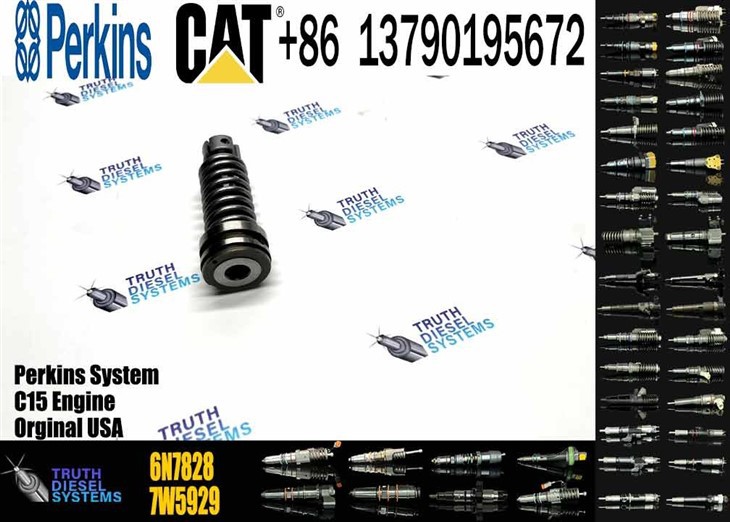Caterpillar Injector Plunger Truck Engine Parts Diesel Fuel Pump Element 6N-7828 Plunger 6N7828 Original New Injector best