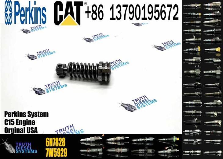 Caterpillar Injector Plunger Truck Engine Parts Diesel Fuel Pump Element 6N-7828 Plunger 6N7828 Original New Injector high quality