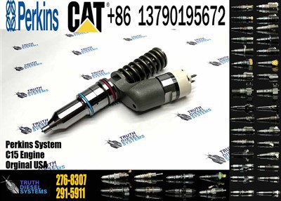 Caterpillar Injector C18 Engine Common Rail Fuel Injector 276-8307 253-0616 253-0618 295-9085 276-8307 374-0750 272-0630 356-1367 10R-1273 Original New Injector